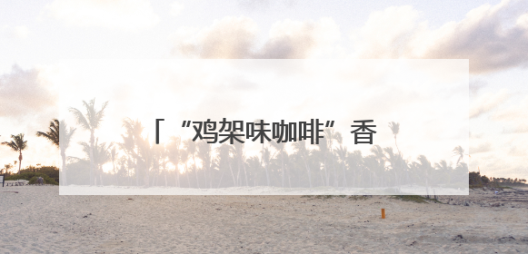 “鸡架味咖啡”香飘“西红市”——沈阳市集解锁“地域限定”消费新场景