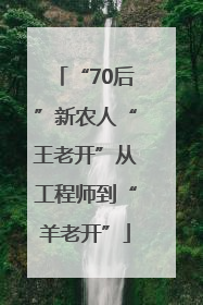 “70后”新农人“王老开”从工程师到“羊老开”