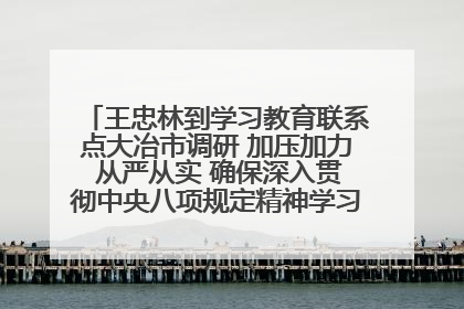 王忠林到学习教育联系点大冶市调研 加压加力 从严从实 确保深入贯彻中央八项规定精神学习教育取得实效