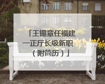 王锡章任福建一正厅长级新职（附简历）