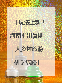 玩法上新！海南推出暑期三大乡村旅游研学线路