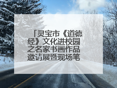 灵宝市《道德经》文化进校园之名家书画作品邀请展暨现场笔会活动举行