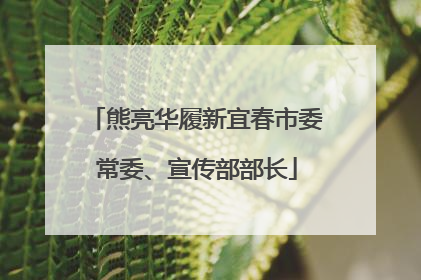 熊亮华履新宜春市委常委、宣传部部长