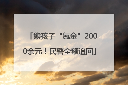 熊孩子“氪金”2000余元！民警全额追回