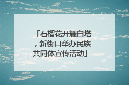 石榴花开耀白塔，新街口举办民族共同体宣传活动