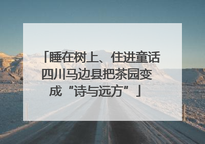 睡在树上、住进童话 四川马边县把茶园变成“诗与远方”