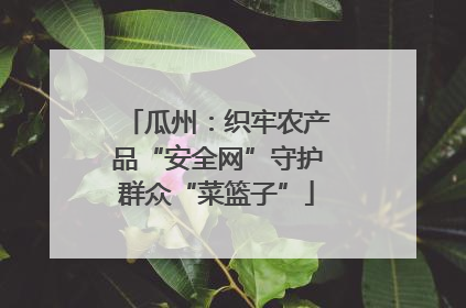 瓜州：织牢农产品“安全网”守护群众“菜篮子”