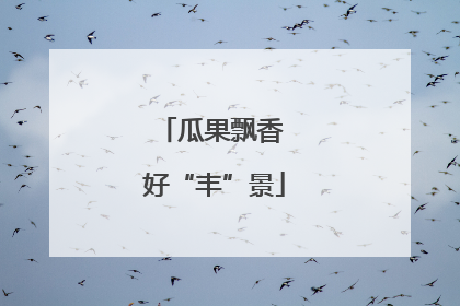 瓜果飘香 好“丰”景