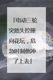 电动三轮突然失控撞向花坛，危急时刻他冲了上去