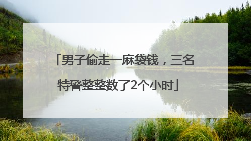 男子偷走一麻袋钱，三名特警整整数了2个小时