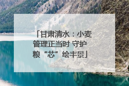 甘肃清水：小麦管理正当时 守护粮“芯”绘丰景