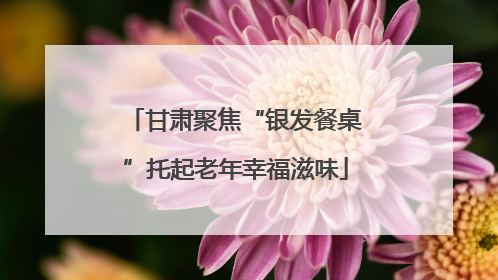 甘肃聚焦“银发餐桌”托起老年幸福滋味