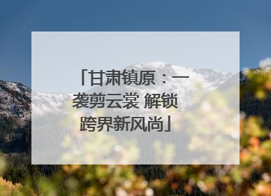 甘肃镇原：一袭剪云裳 解锁跨界新风尚