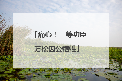 痛心！一等功臣万松因公牺牲