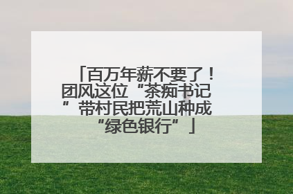 百万年薪不要了！团风这位“茶痴书记”带村民把荒山种成“绿色银行”