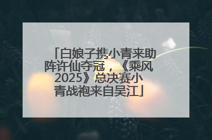 白娘子携小青来助阵许仙夺冠，《乘风2025》总决赛小青战袍来自吴江