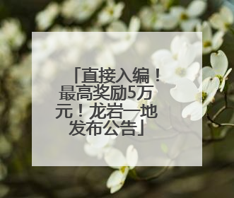直接入编！最高奖励5万元！龙岩一地发布公告