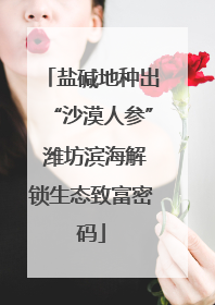 盐碱地种出“沙漠人参” 潍坊滨海解锁生态致富密码