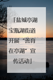 盐城亭湖宝瓶湖街道开展“善育在亭湖”宣传活动