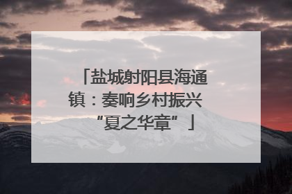 盐城射阳县海通镇：奏响乡村振兴“夏之华章”