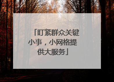 盯紧群众关键小事，小网格提供大服务