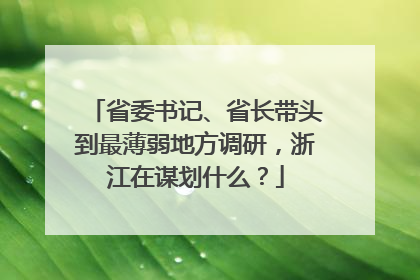 省委书记、省长带头到最薄弱地方调研，浙江在谋划什么？