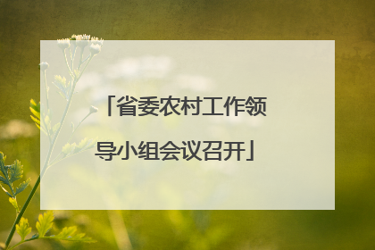 省委农村工作领导小组会议召开