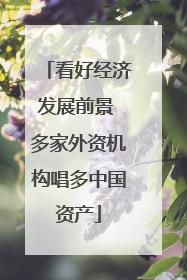 看好经济发展前景 多家外资机构唱多中国资产