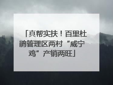 真帮实扶！百里杜鹃管理区两村“威宁鸡”产销两旺
