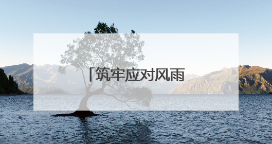 筑牢应对风雨的强大底气