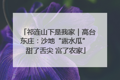 祁连山下是我家｜高台东庄：沙地“露水瓜” 甜了舌尖 富了农家