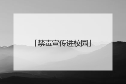 禁毒宣传进校园
