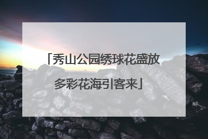秀山公园绣球花盛放 多彩花海引客来