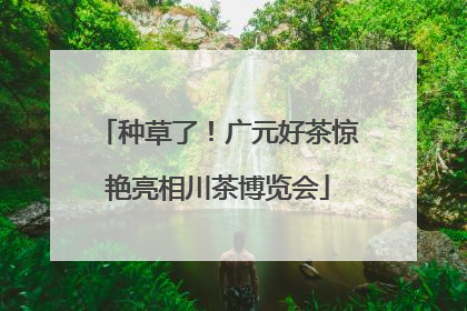 种草了！广元好茶惊艳亮相川茶博览会