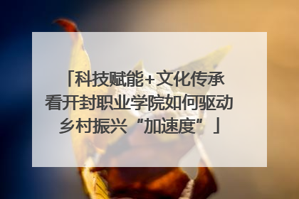 科技赋能+文化传承 看开封职业学院如何驱动乡村振兴“加速度”