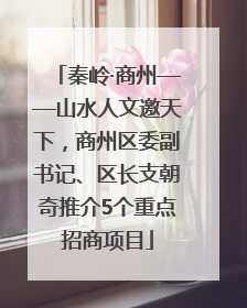 秦岭·商州——山水人文邀天下，商州区委副书记、区长支朝奇推介5个重点招商项目