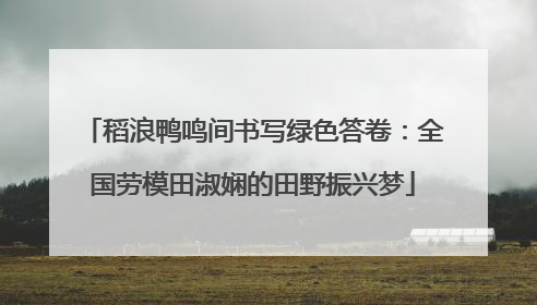 稻浪鸭鸣间书写绿色答卷：全国劳模田淑娴的田野振兴梦