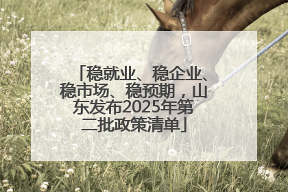 稳就业、稳企业、稳市场、稳预期，山东发布2025年第二批政策清单