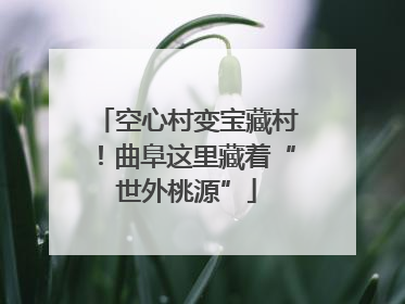 空心村变宝藏村！曲阜这里藏着“世外桃源”