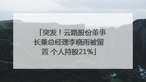 突发！云路股份董事长兼总经理李晓雨被留置 个人持股21%