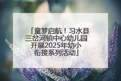 童梦启航！习水县三岔河镇中心幼儿园开展2025年幼小衔接系列活动