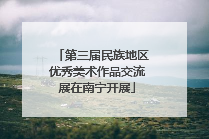 第三届民族地区优秀美术作品交流展在南宁开展