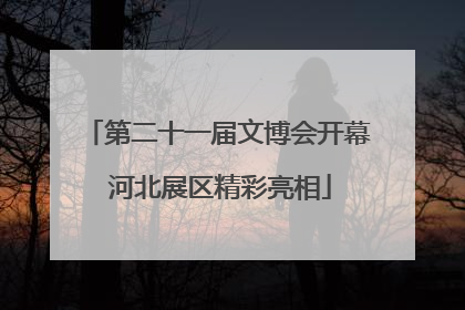 第二十一届文博会开幕 河北展区精彩亮相