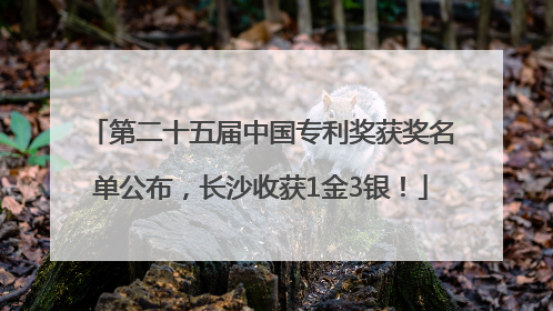 第二十五届中国专利奖获奖名单公布，长沙收获1金3银！