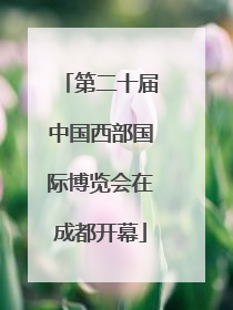 第二十届中国西部国际博览会在成都开幕