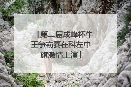 第二届成峰杯牛王争霸赛在科左中旗激情上演