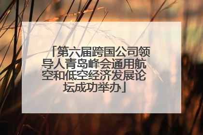 第六届跨国公司领导人青岛峰会通用航空和低空经济发展论坛成功举办