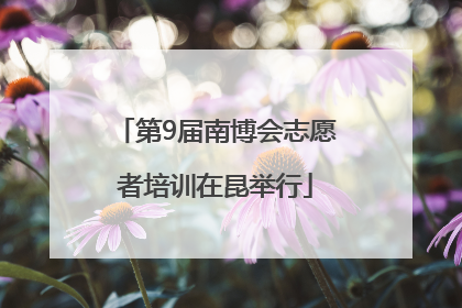 第9届南博会志愿者培训在昆举行