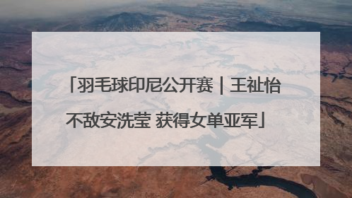 羽毛球印尼公开赛｜王祉怡不敌安洗莹 获得女单亚军