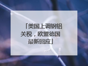 美国上调钢铝关税，欧盟德国最新回应